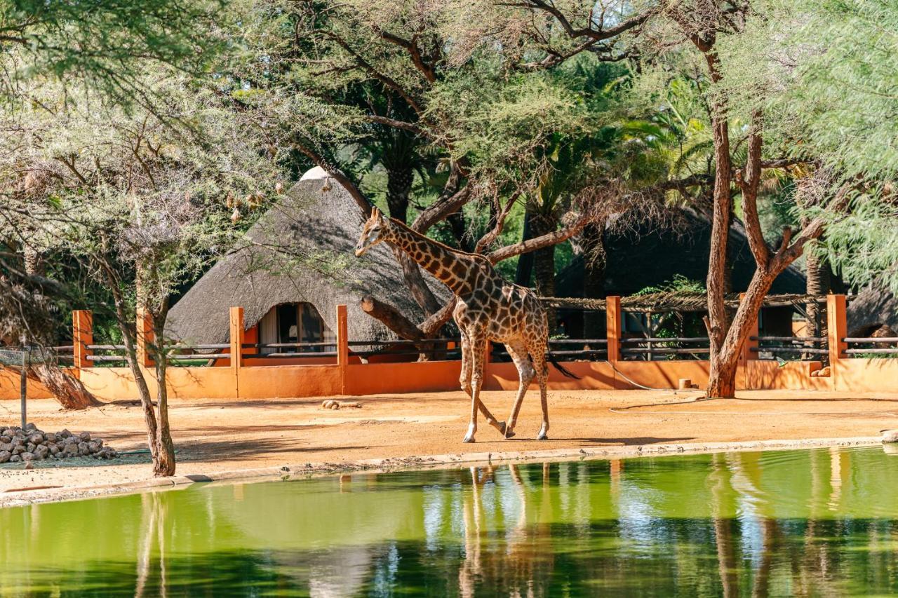 Omaruru Game Lodge Exterior photo